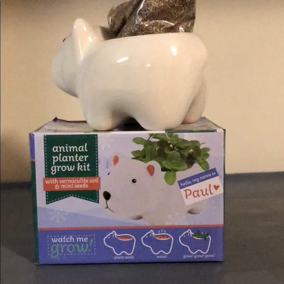 Animal Planter Grow Kit. Paul. New. - Picture 2 of 4